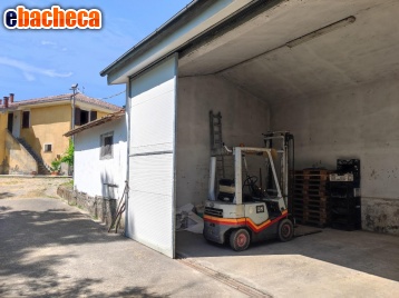 terreno agricolo in vendita a Peccioli