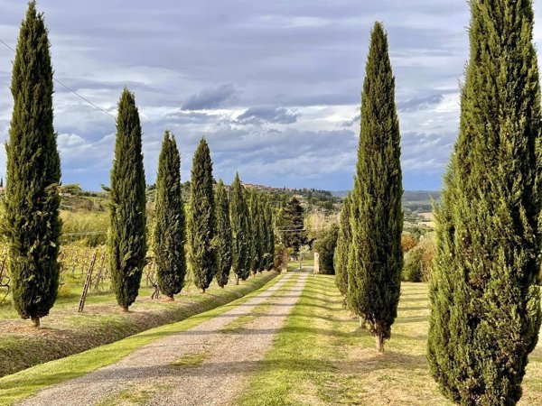 casa indipendente in vendita a Peccioli