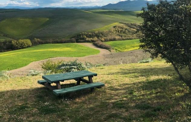 appartamento in vendita a Peccioli