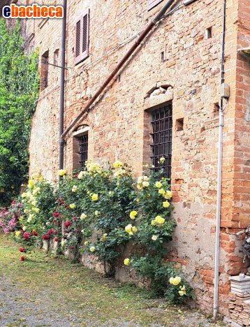 appartamento in vendita a Peccioli