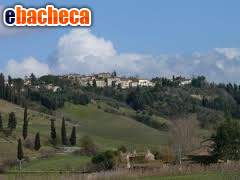 capannone in vendita a Peccioli in zona Fabbrica