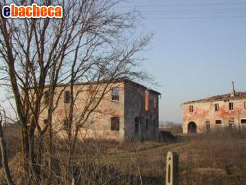 appartamento in vendita a Peccioli