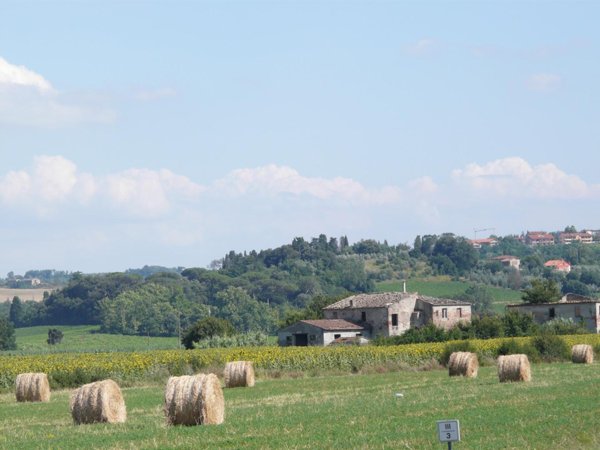 casa indipendente in vendita a Peccioli