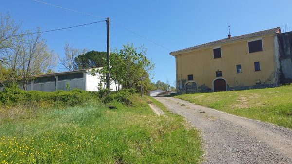 mansarda in vendita a Peccioli