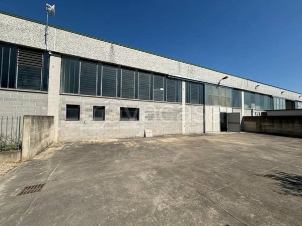 locale commerciale in vendita a Peccioli