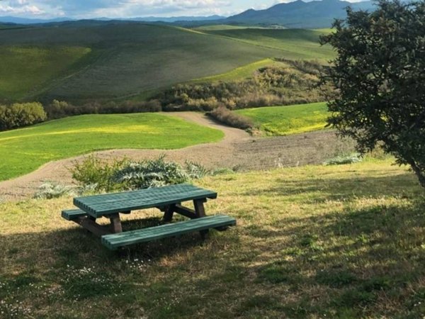 appartamento in vendita a Peccioli