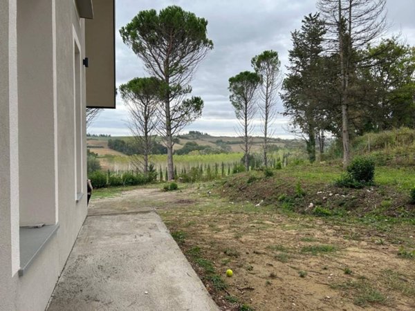 casa indipendente in vendita a Peccioli