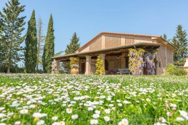 appartamento in vendita a Peccioli in zona Montelopio