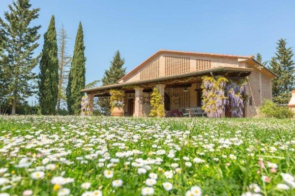 appartamento in vendita a Peccioli in zona Montelopio