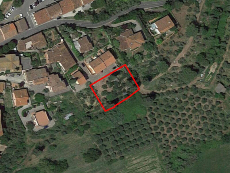 terreno agricolo in vendita a Peccioli