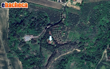 appartamento in vendita a Peccioli