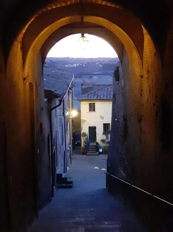 negozio in vendita a Peccioli