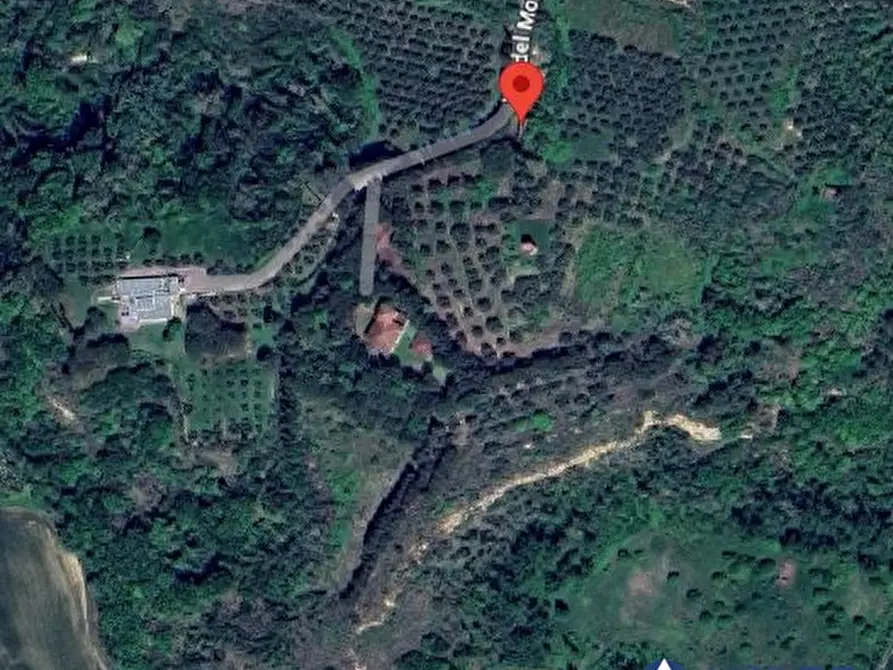 intera palazzina in vendita a Peccioli