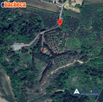 appartamento in vendita a Peccioli