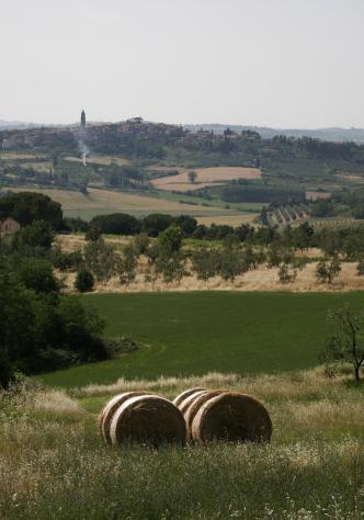 terreno edificabile in vendita a Peccioli