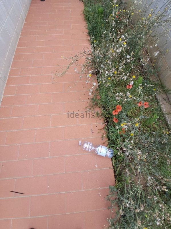 appartamento in vendita a Peccioli
