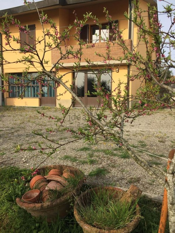 casa indipendente in vendita a Peccioli in zona Ghizzano