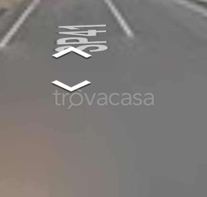 terreno agricolo in vendita a Peccioli