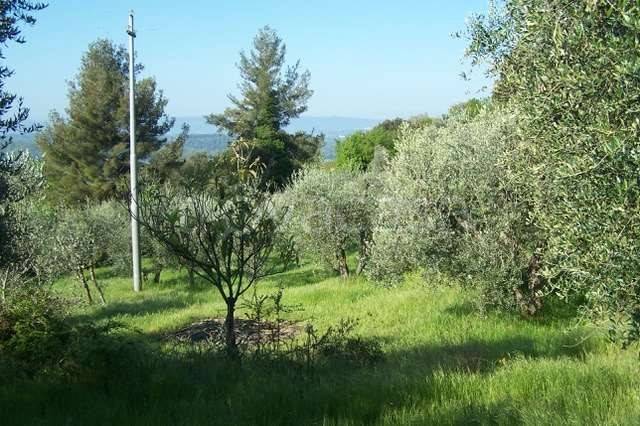 casa indipendente in vendita a Peccioli in zona Legoli