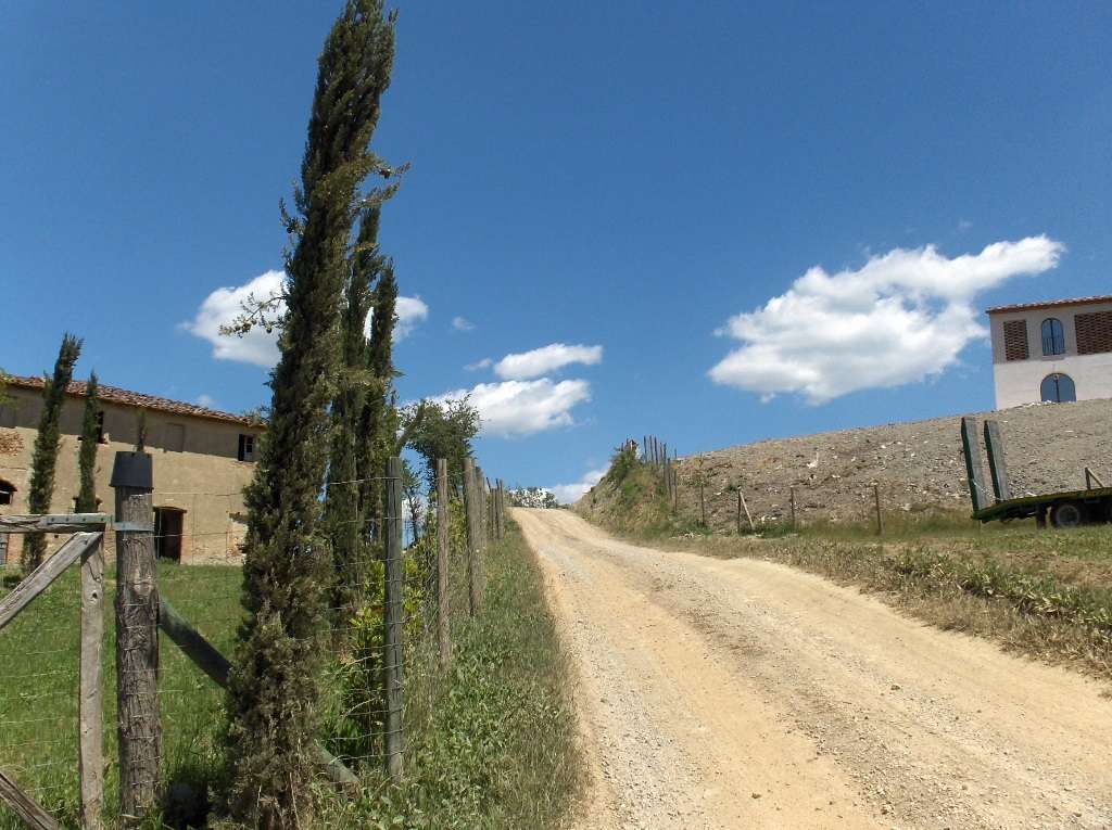 casa indipendente in vendita a Peccioli