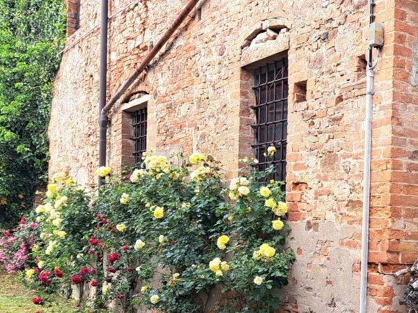 appartamento in vendita a Peccioli
