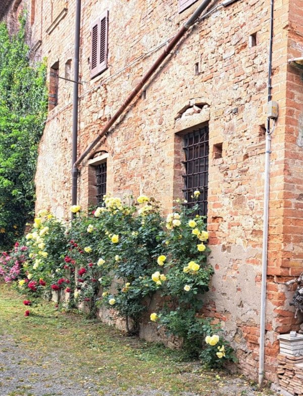 appartamento in vendita a Peccioli