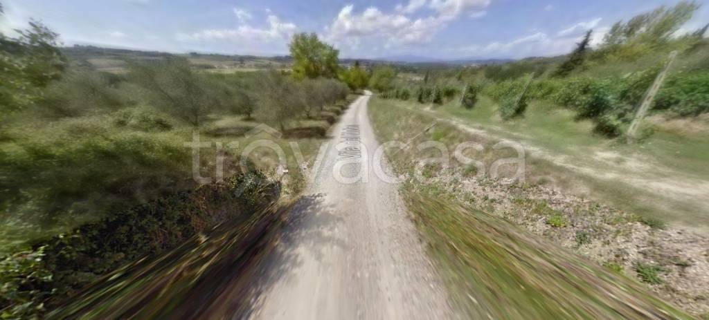 appartamento in vendita a Peccioli