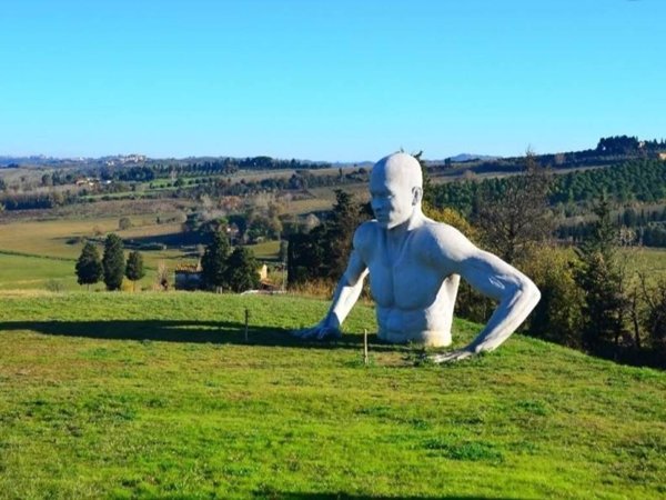 negozio in vendita a Peccioli