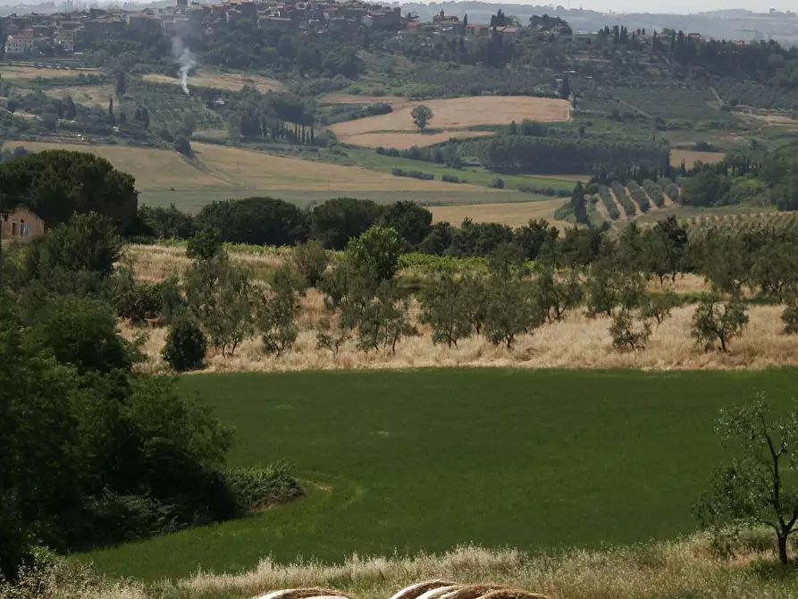 immagine annuncio 0 di 1
