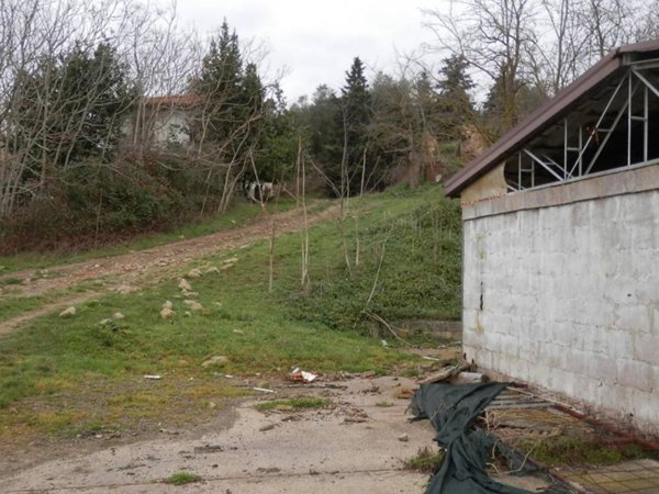 terreno agricolo in vendita a Peccioli in zona Libbiano