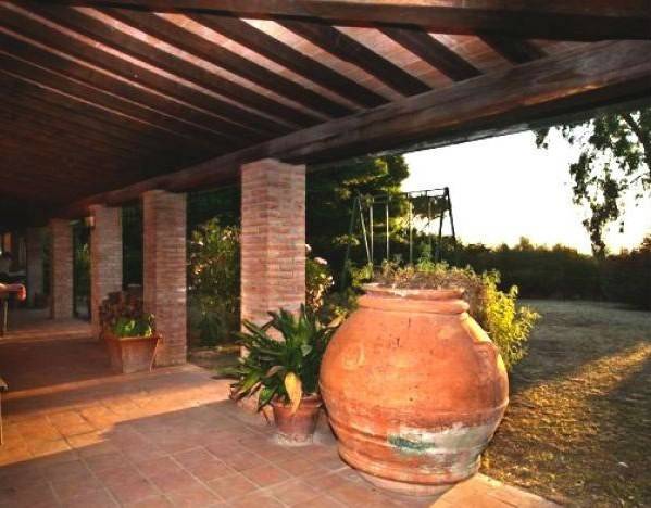 negozio in vendita a Peccioli