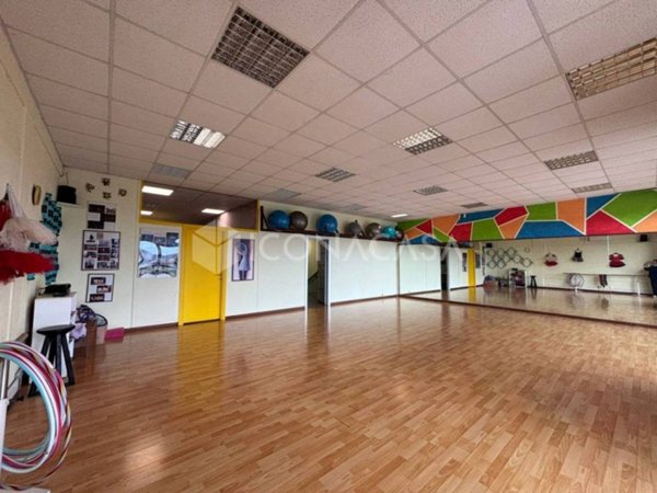 negozio in vendita a Peccioli