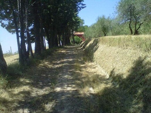 casale in vendita a Peccioli in zona Legoli