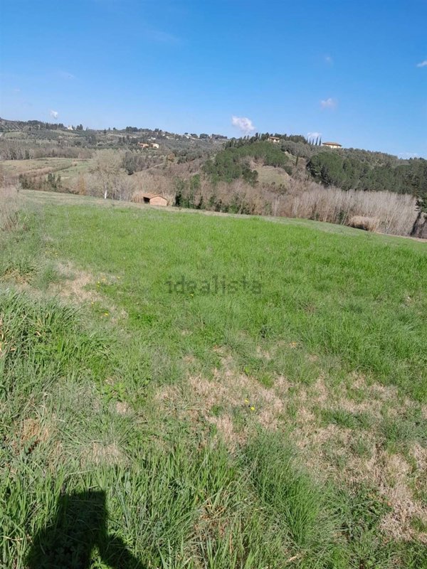terreno agricolo in vendita a Peccioli in zona Fabbrica