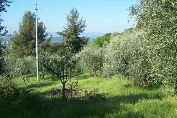 casa indipendente in vendita a Peccioli in zona Legoli