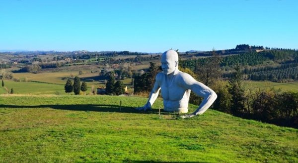 terreno agricolo in vendita a Peccioli
