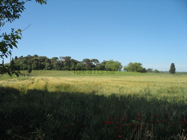 appartamento in vendita a Peccioli