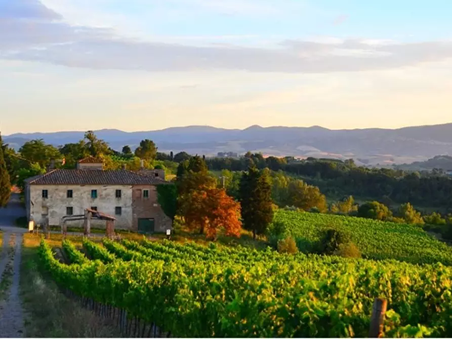 terreno agricolo in vendita a Peccioli
