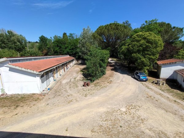 locale commerciale in vendita a Peccioli