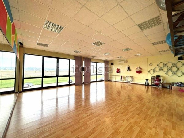 appartamento in vendita a Peccioli