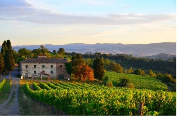terreno agricolo in vendita a Peccioli