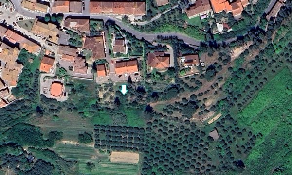 terreno agricolo in vendita a Peccioli