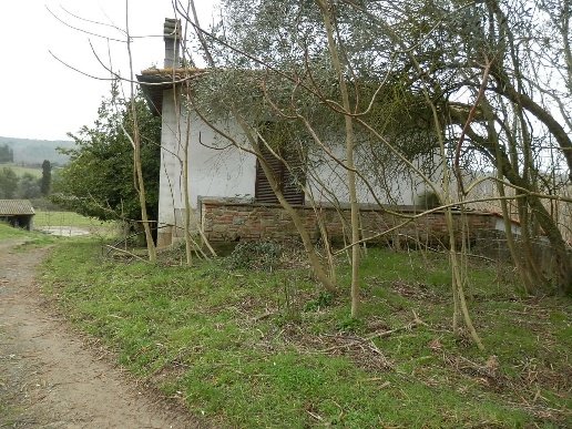 terreno agricolo in vendita a Peccioli in zona Libbiano