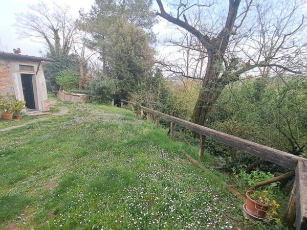 terreno agricolo in vendita a Peccioli