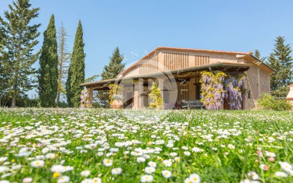 casa indipendente in vendita a Peccioli in zona Montelopio