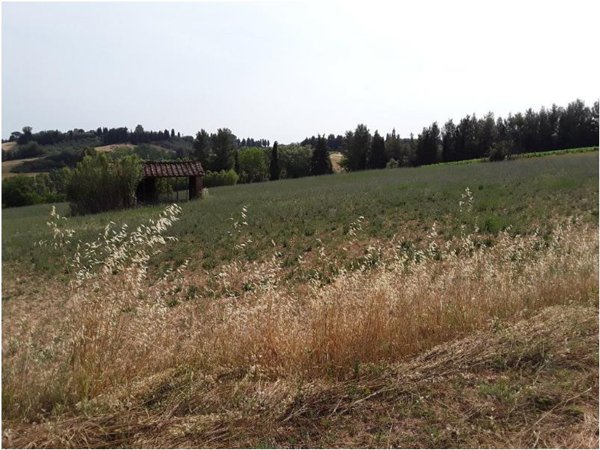 terreno agricolo in vendita a Peccioli in zona Fabbrica