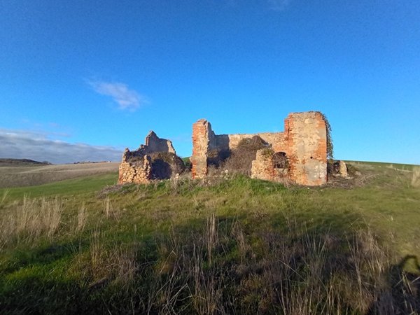 casa indipendente in vendita a Peccioli