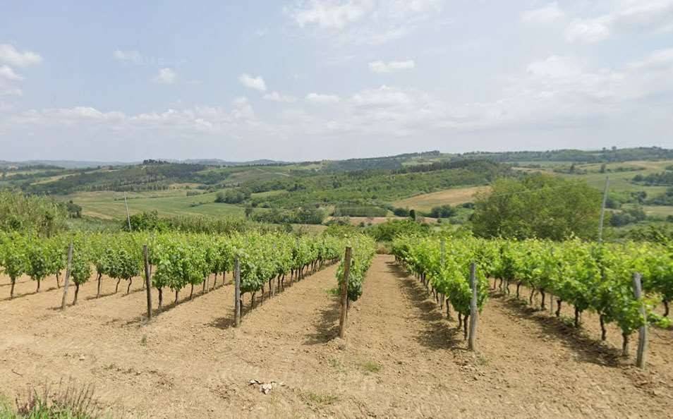 terreno agricolo in vendita a Peccioli