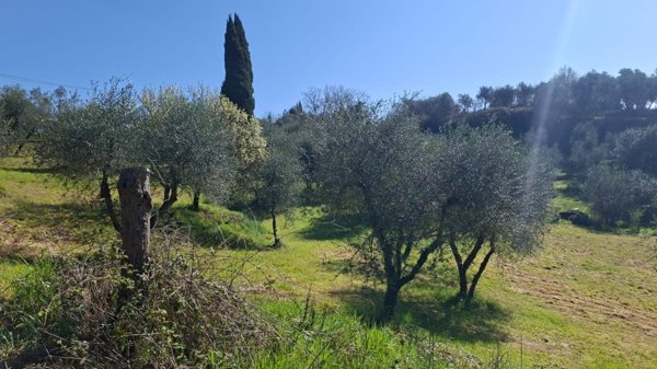 terreno agricolo in vendita a Peccioli in zona Legoli