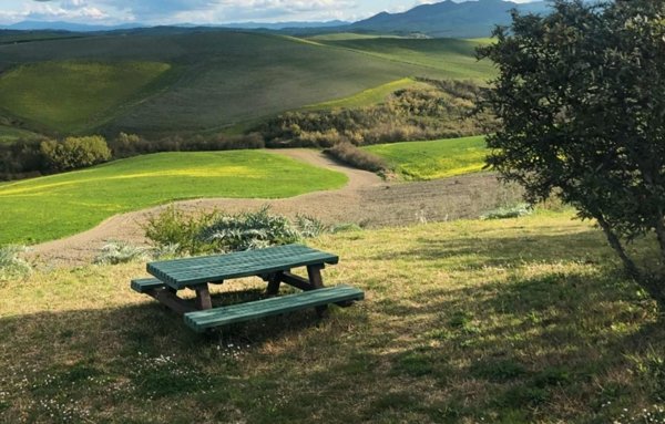 appartamento in vendita a Peccioli